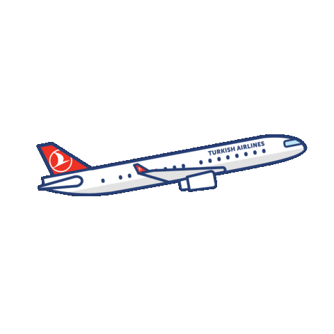 Image result for airplane turkish airline gif