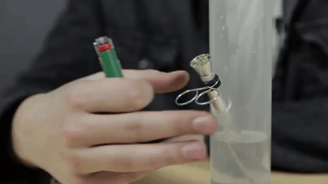 giphy Medical marijuana patients are getting evicted in legal states