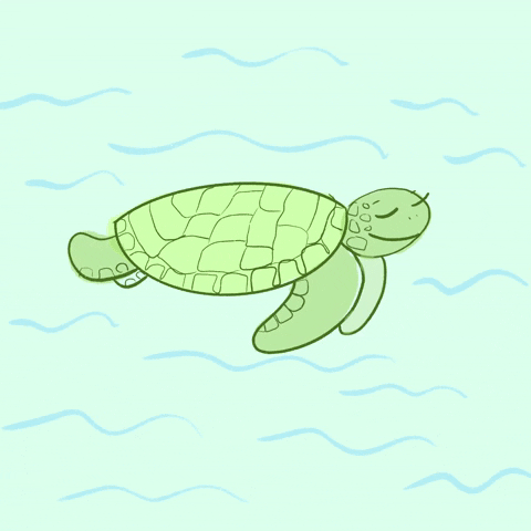 Sea Turtle Swimming GIF - Find & Share on GIPHY