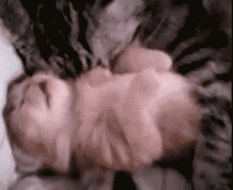 https://media.giphy.com/media/2Ze9vTi2DiOLS/giphy.gif