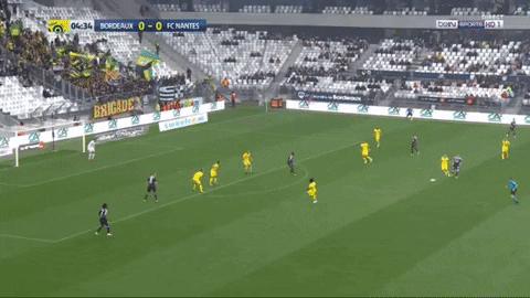 Inter Bordeaux GIF by nss sports