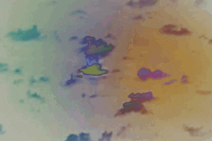 giphy.gif
