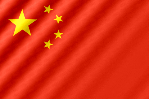 China (81,093)