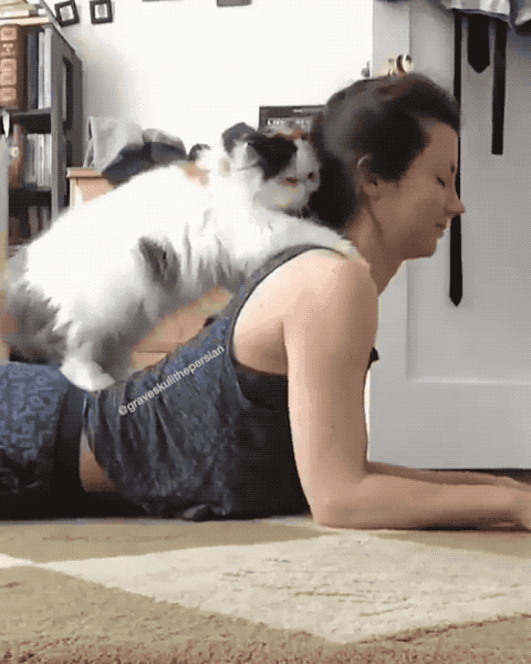Massage Find And Share On Giphy