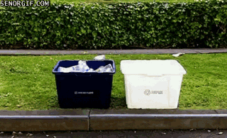 Pugs Recycle GIF - Find & Share on GIPHY