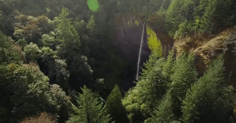 Oregon GIF