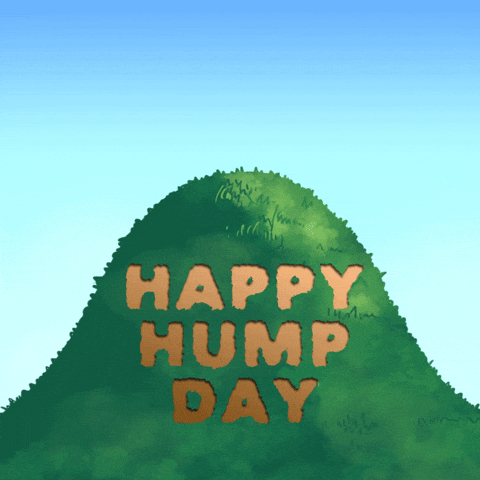 giphy.gif?cid=790b76114aqkmnvps6i5y6l2tk