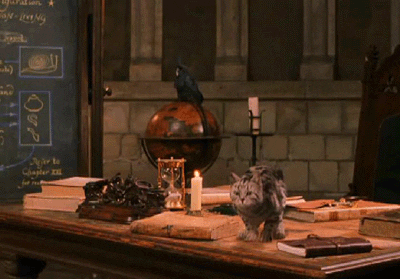 Professor McGonagall leaps from her desk as a cat and transforms to a human midair