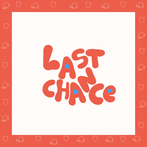 Last chance!
