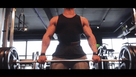 Gym Bodybuilding GIF - Find & Share on GIPHY
