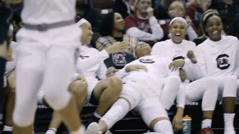 Pass Out Wake Up GIF by gamecocksonline