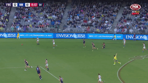 Afl Dockers GIF