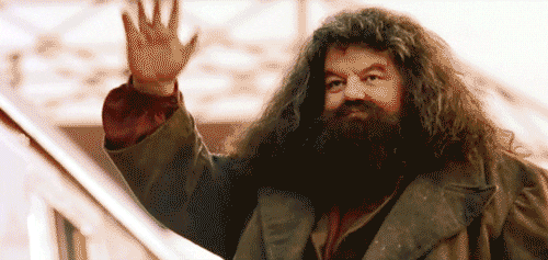 Hagrid dit aurevoir 