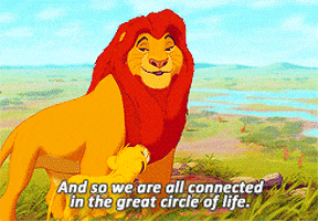 Image result for circle of life gif