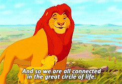 Great Circle of Life, Lion King Gif