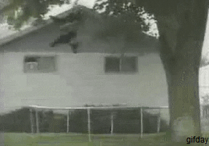 bounce gif maker bounce gif maker