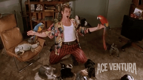 Jim Carrey Alrighty Then GIF by Ace Ventura - Find & Share on GIPHY
