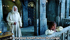 Image result for gandalf in the deep breath before the plunge gif
