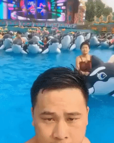 Public pool in china in random gifs