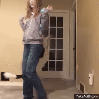 Dog Dance With Owner in funny gifs