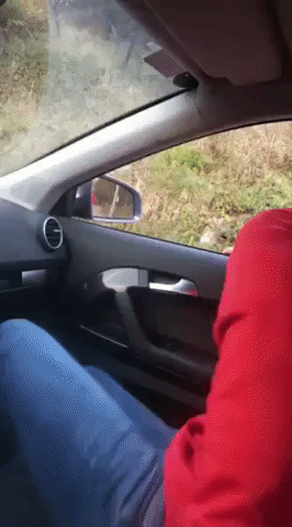 What a gentleman in funny gifs