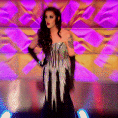 giphy.gif
