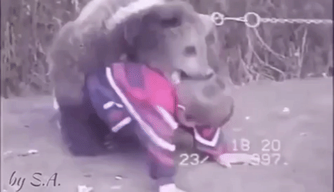 29 неприятных, странных и даже ужасных фотографий, которые лучше бы мы вообще не видели неприятные фотографии, странные фотографии, ужасные фотографии, фотографии которых лучше бы мы вообще не видели