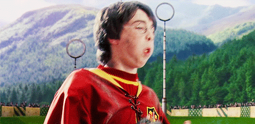 Image result for quidditch gif