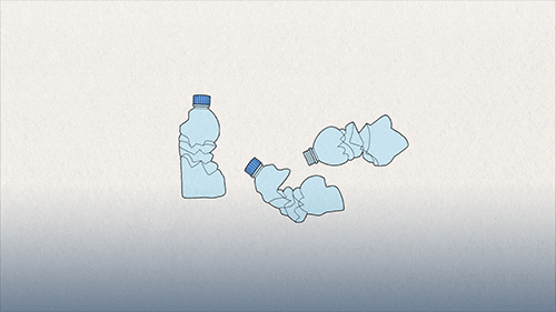 Bottle