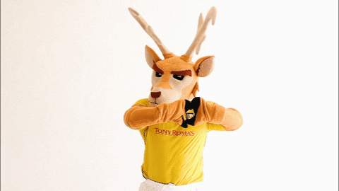 Yucatan Defiende GIF by Venados FC
