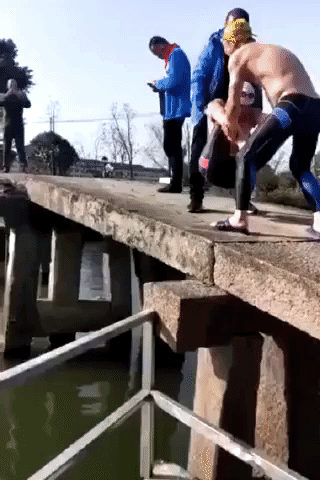 Team work in funny gifs