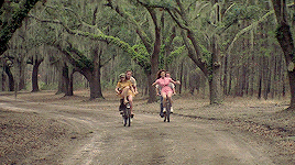 The Notebook GIF