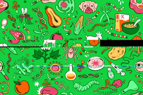 Genetic Modification GIF by Massive Science - Find & Share on GIPHY