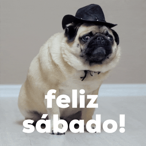 Feliz Sabado GIF by GIPHY Studios Originals