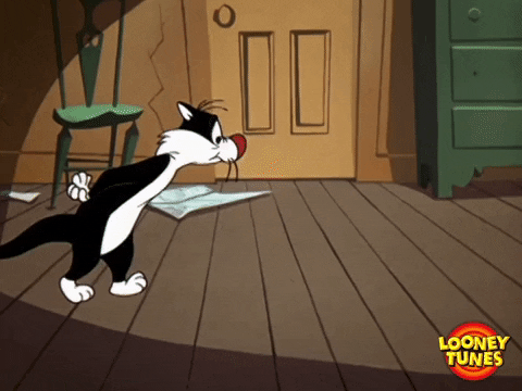 Scared Wait GIF by Looney Tunes - Find & Share on GIPHY
