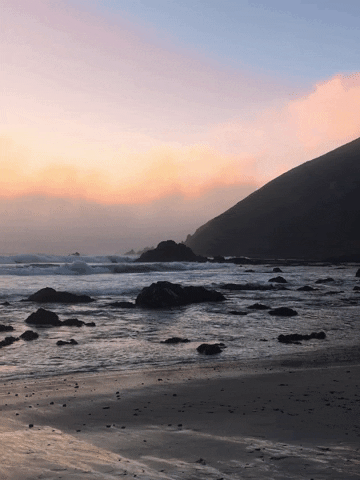 Bay Area California GIF by Chris Cubellis