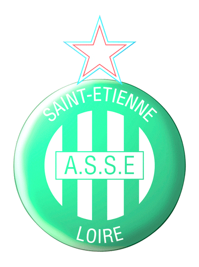 AS Saint-Étienne Soccer Team Logo 2.5in Decal Sticker A.S.S.E. Stickers French