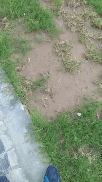 Camouflage level over 1000 in funny gifs