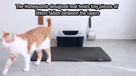 Image result for cat litter mat gif