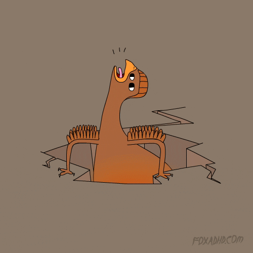 Fox Lol GIF by Animation Domination HighDef Find & Share on GIPHY