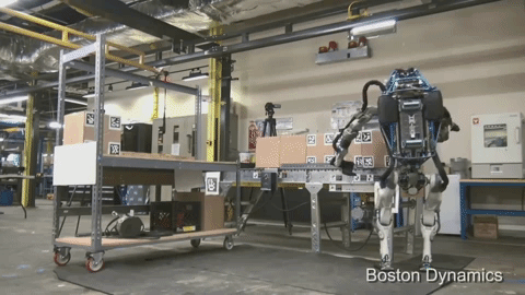 Animated GIF - Find & Share on GIPHY