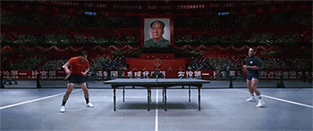 pingpong animated GIF