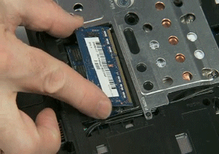 Memory GIF - Find & Share on GIPHY