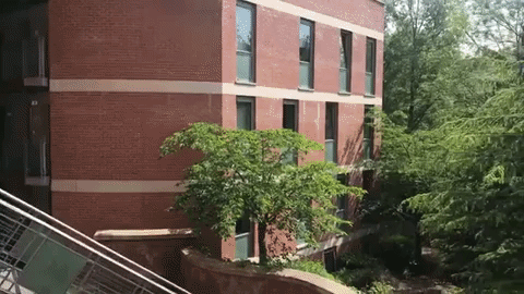 Willowwalk #Elms# Accommodation #Qub GIF