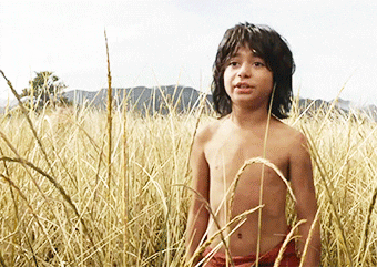The Jungle Book Disney GIF