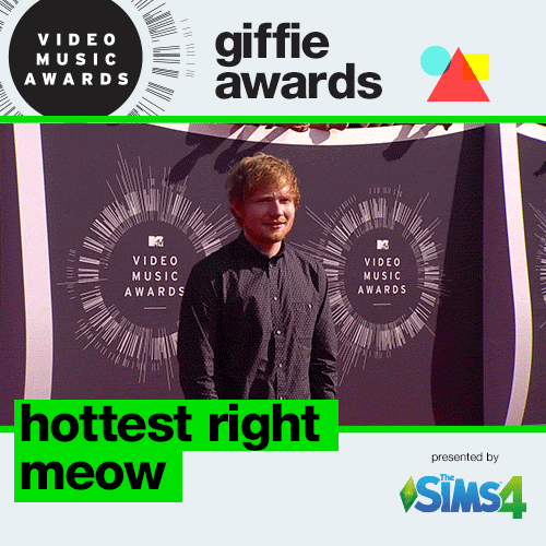 Giffie Gifs Get The Best Gif On Giphy Giffie Gifs Get The Best Gif On Giphy