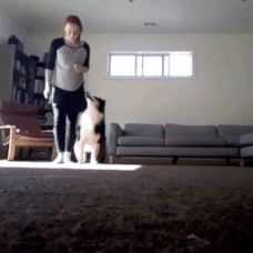 Girl training a dog through a dance routine