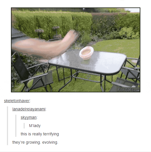 Cards GIFs Find & Share on GIPHY