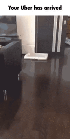 Cool GIF - Find & Share on GIPHY