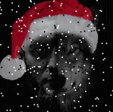 giphy.gif